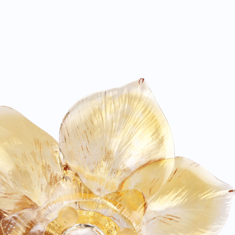 Speculum Petal informibus Candelae Holder