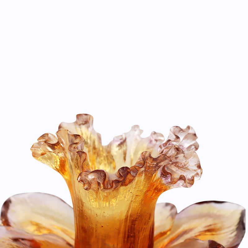 Speculum Petal informibus Candelae Holder